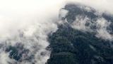 第七封信 — 悬疑烧脑微电影